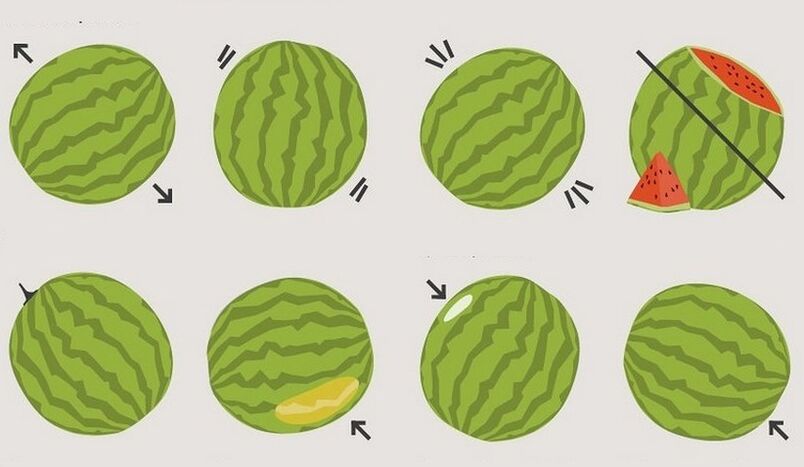 Wie wählt man eine Wassermelone aus